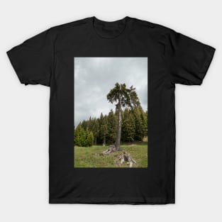 View from Bucegi mountains, Romania, Bucegi National Park T-Shirt